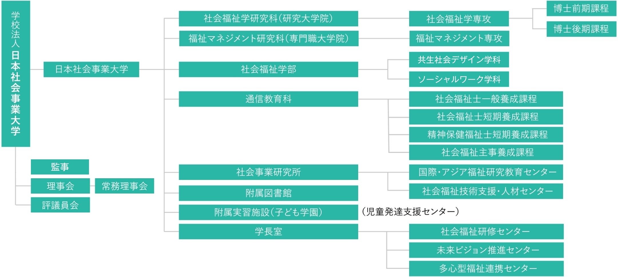 organization_20260713