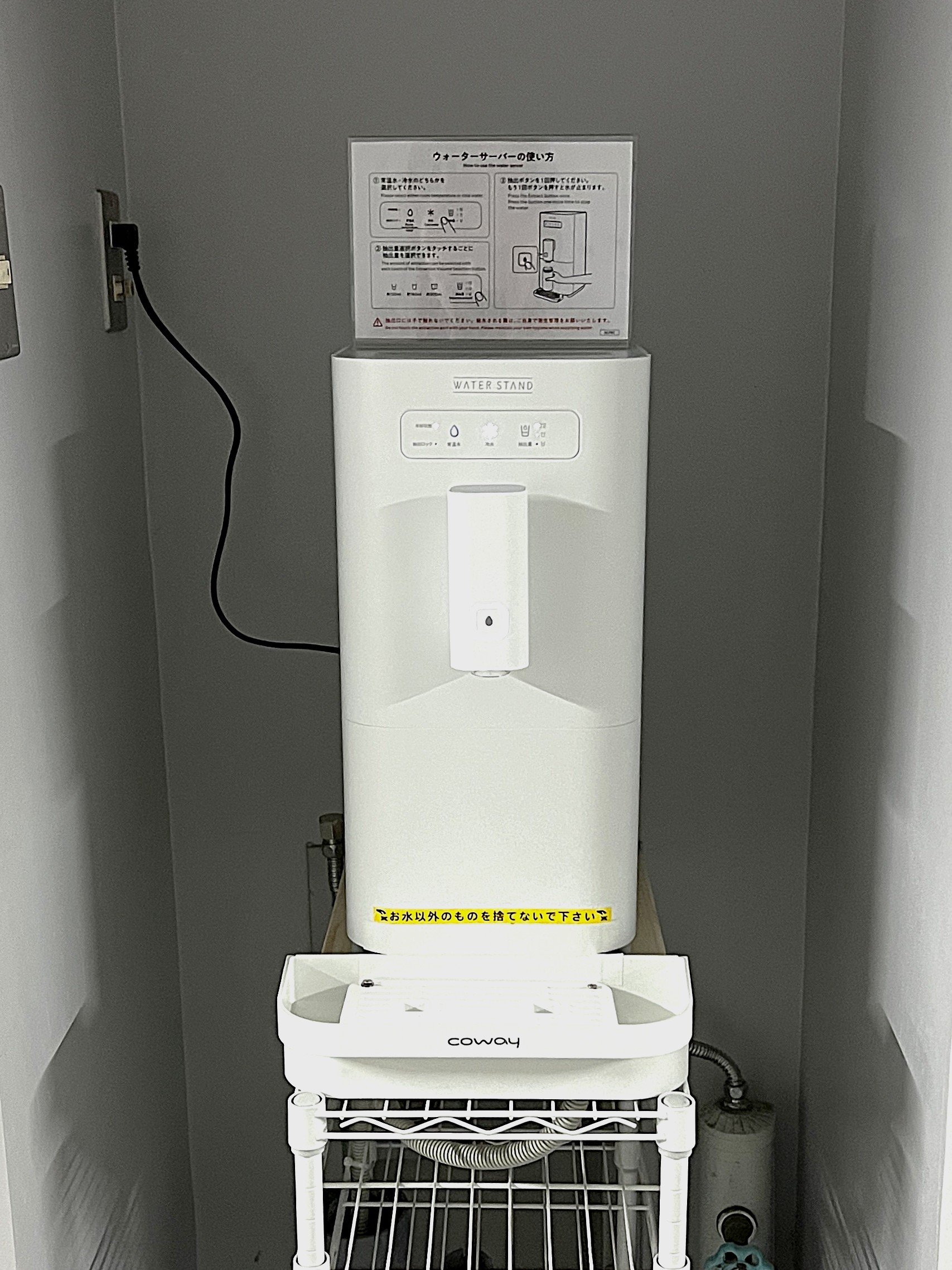 雑木林の通路と百日紅の木跡地