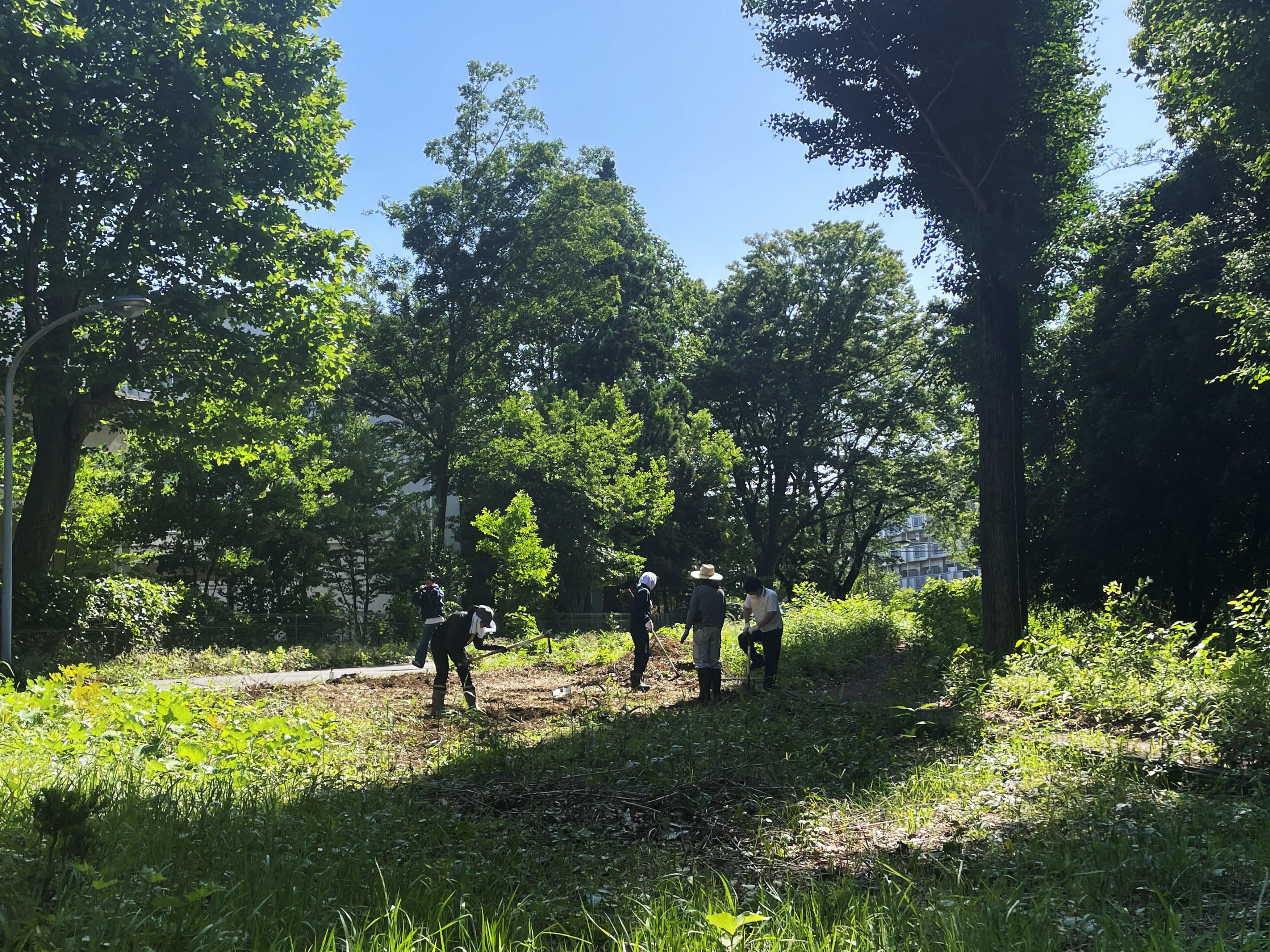 キャンパス敷地で農地開墾スタート