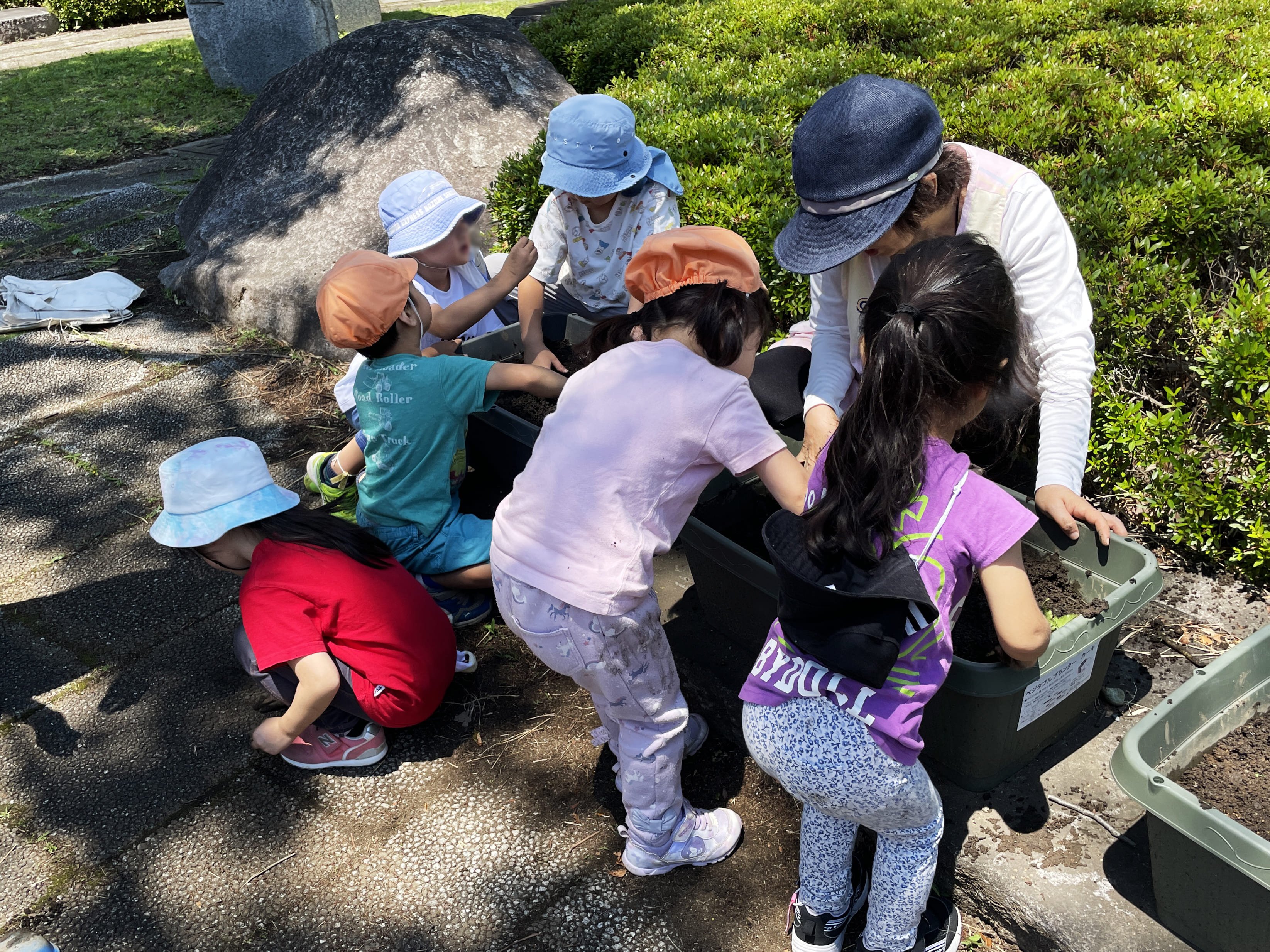 竹水会と第7保育園の園児たちとジャガイモの収穫をしました